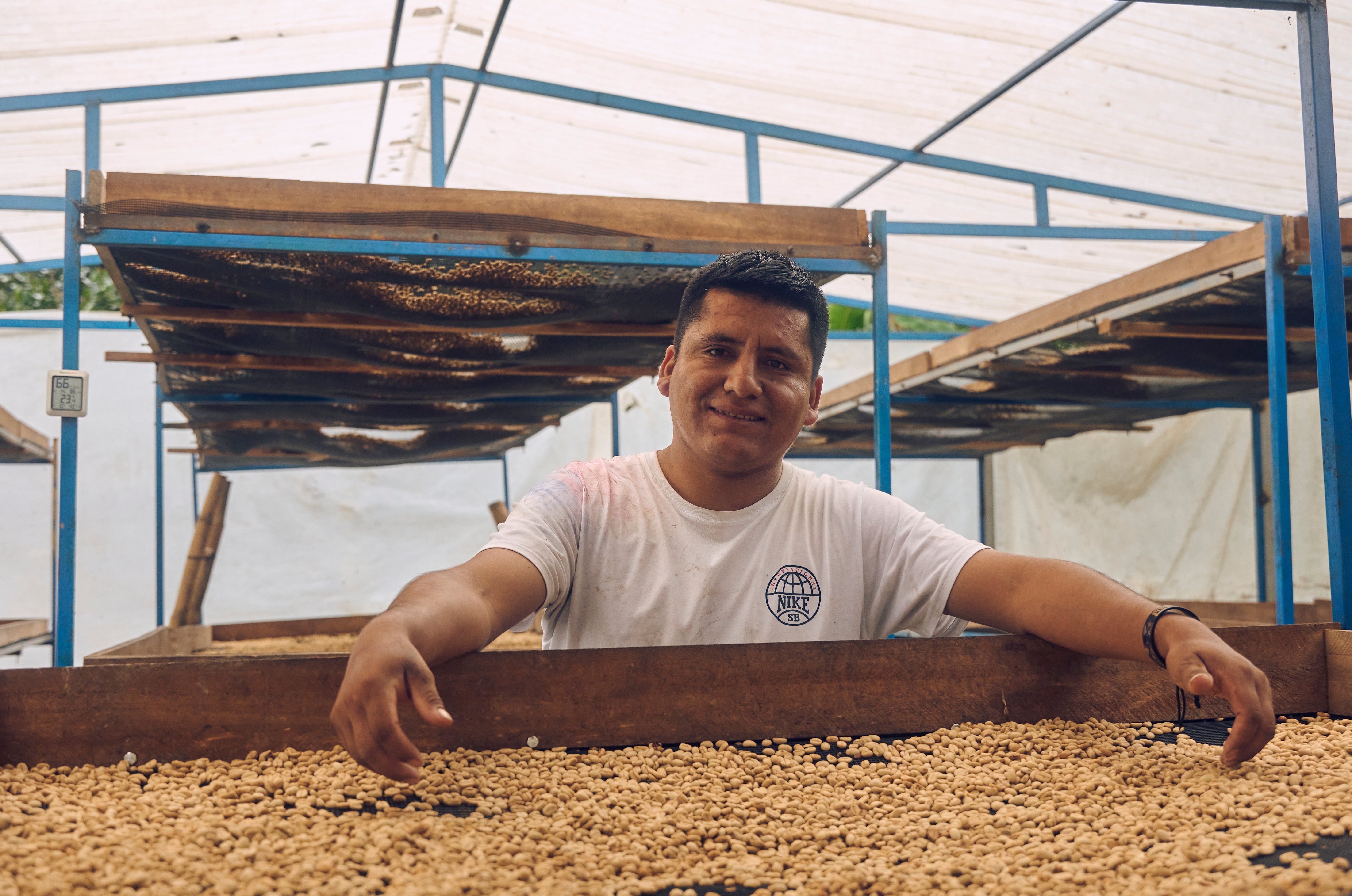 David Flores - Washed Sidra