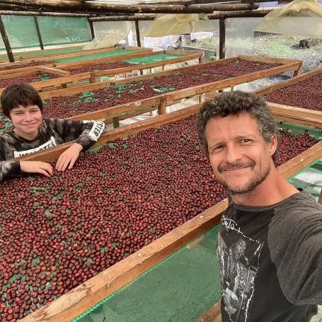 Pepe Jijon - Ecuador Wave Washed Sidra