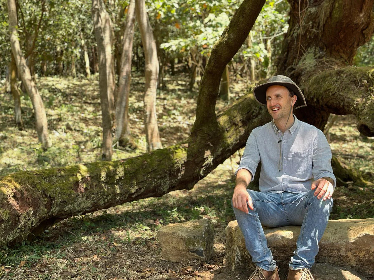 Black Forest - Anaerobic Natural Java