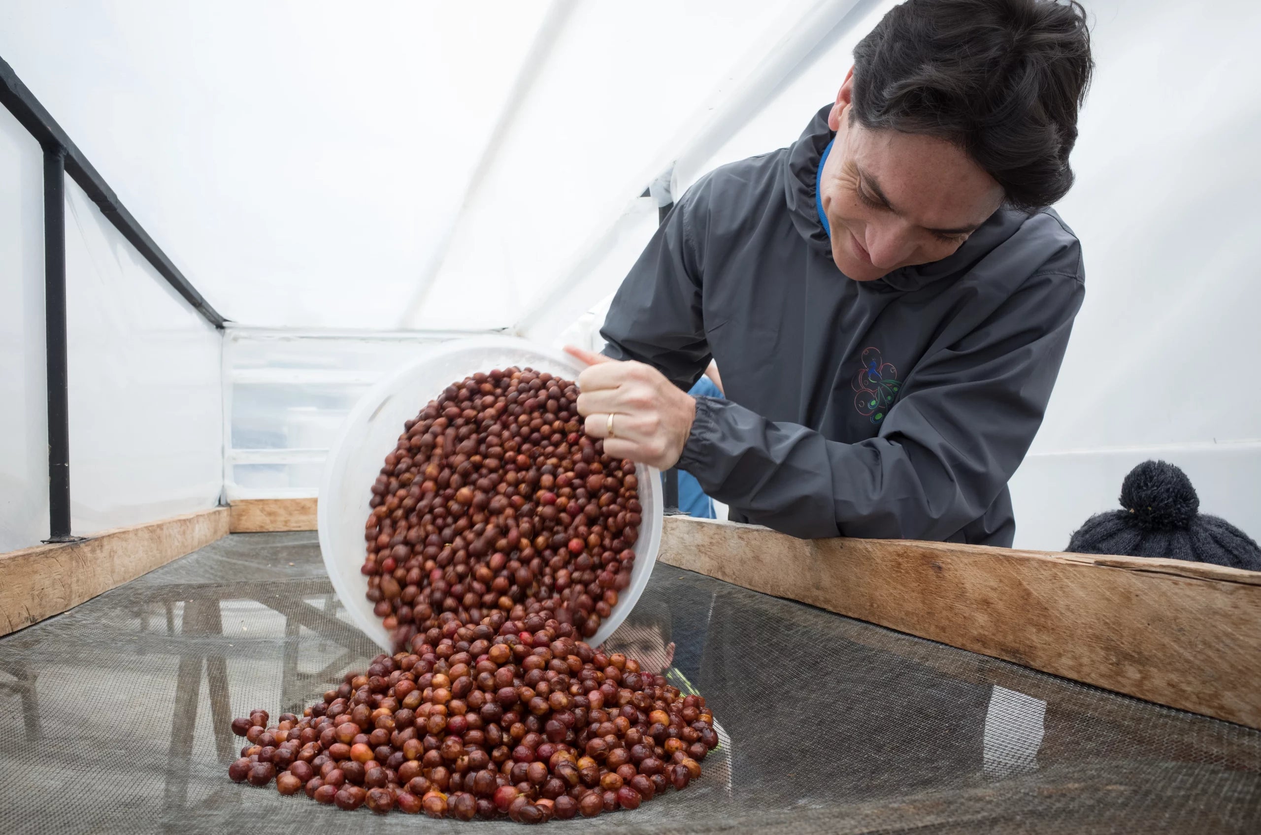 Juan Peña - La Papaya Typica Mejorado Ecuador