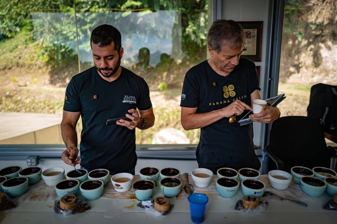 El Burro Lot E - Panama Natural Geisha