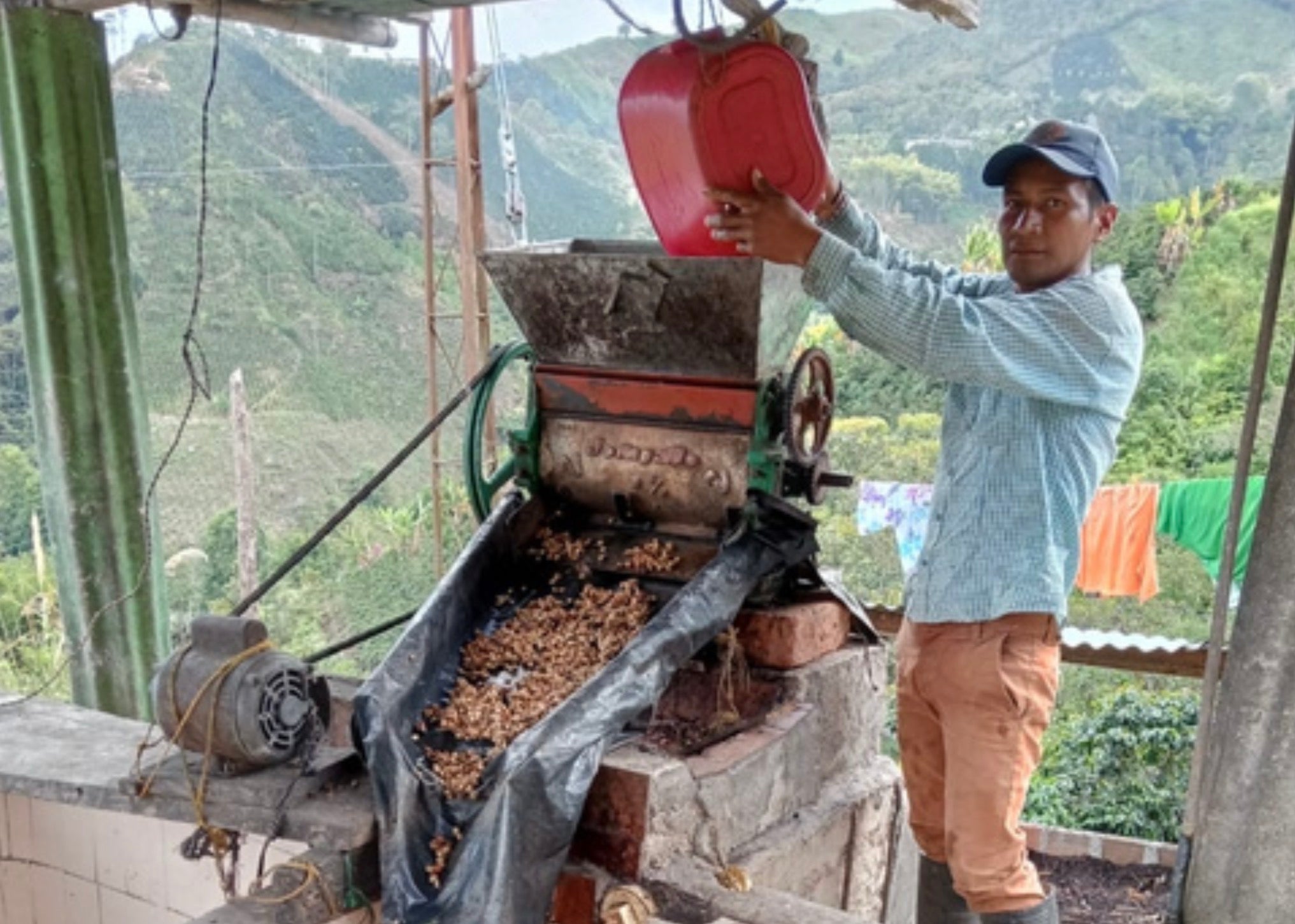 Yilver Andrés - Colombia Geisha Copa de Oro (Extra-Light)