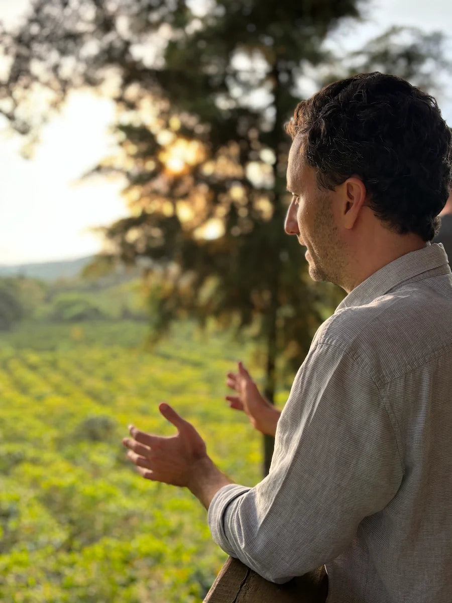 Vanilla Orchard - Anaerobic Natural Geisha