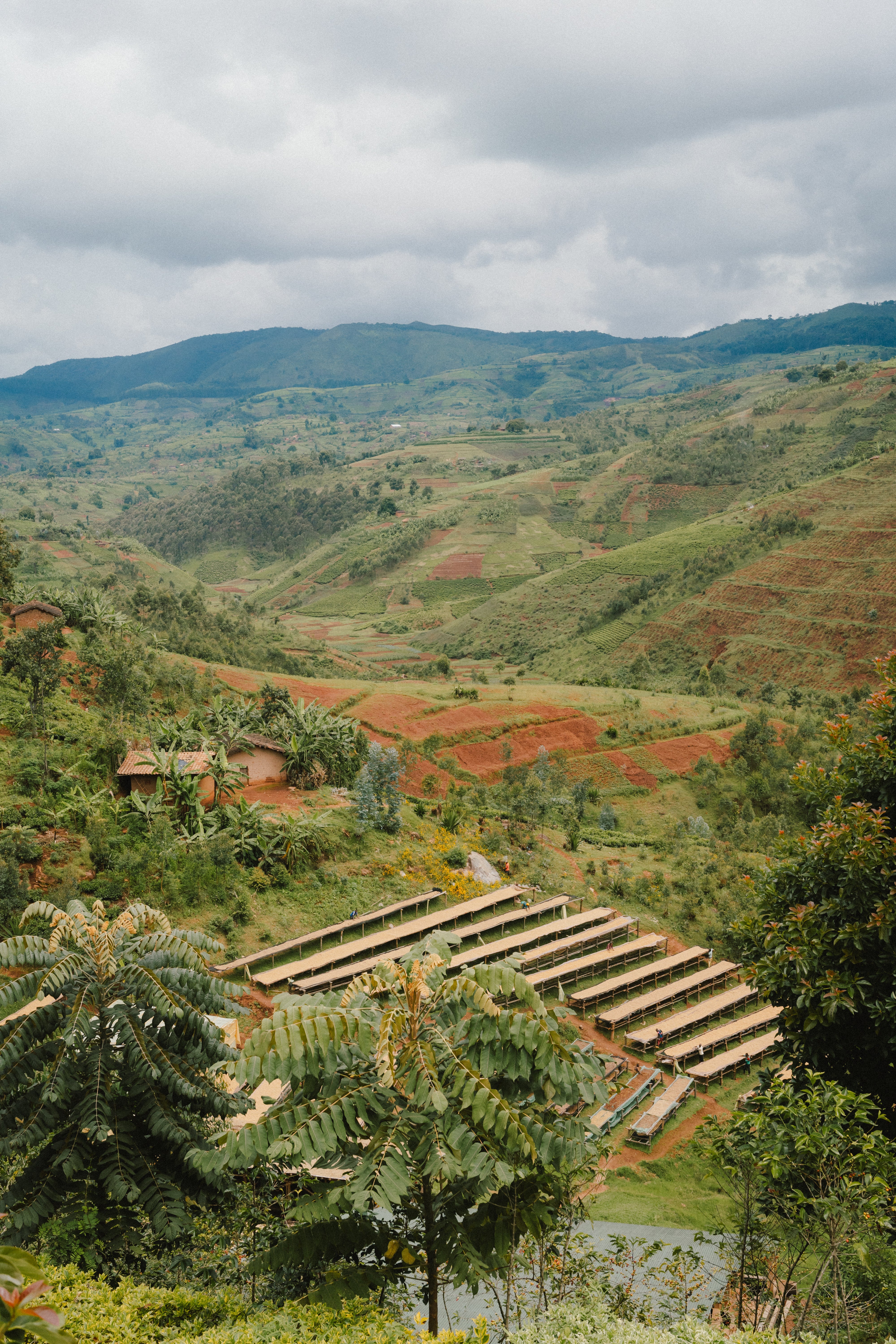 Mutana Hill - Burundi 2025