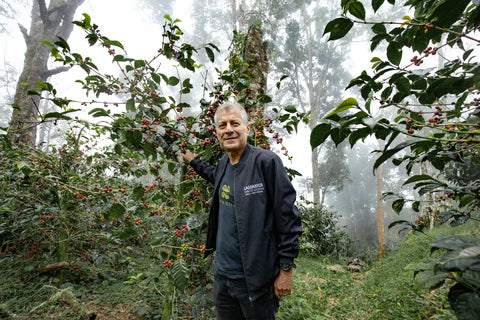 El Burro Lot F - Panama Washed Geisha (Extra-Light)