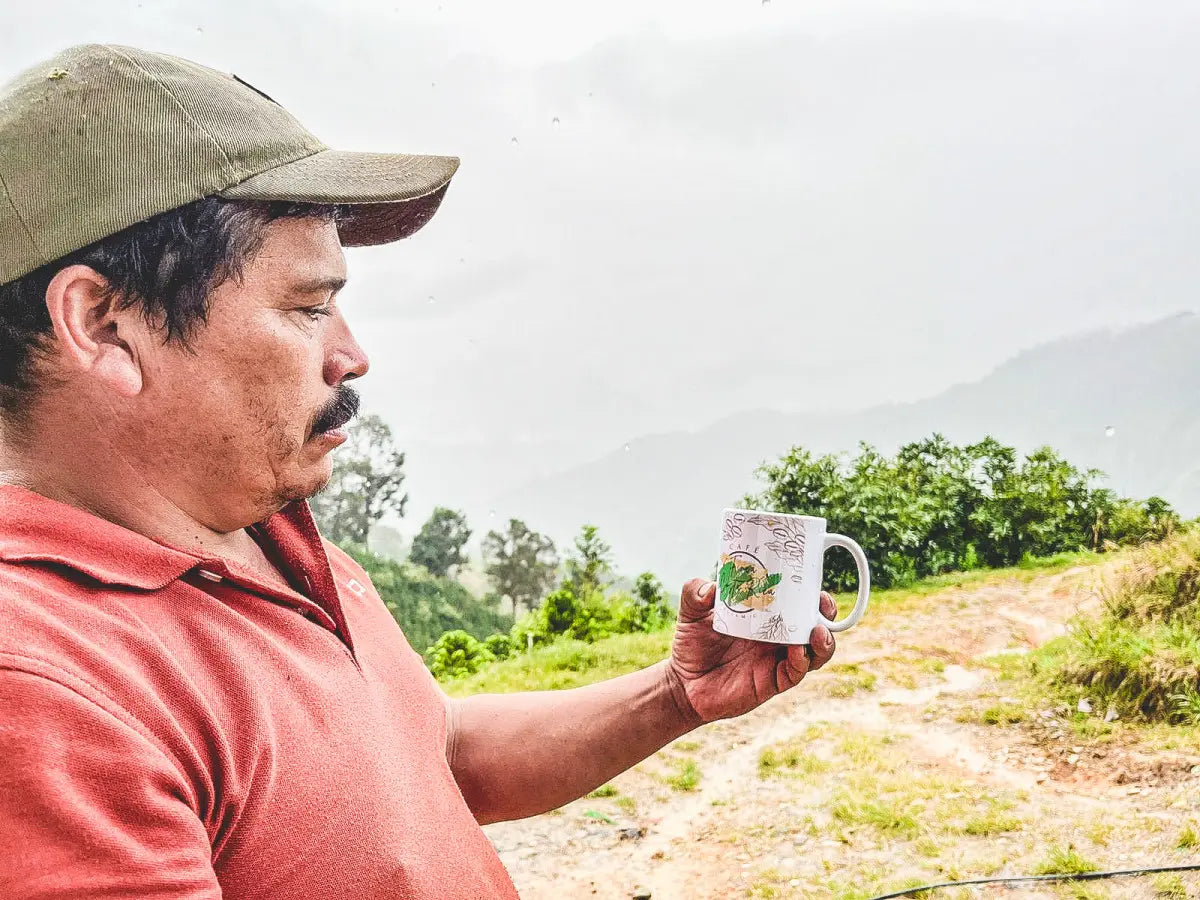 Faver Ninco - Colombia Yeast Inoculated Papayo