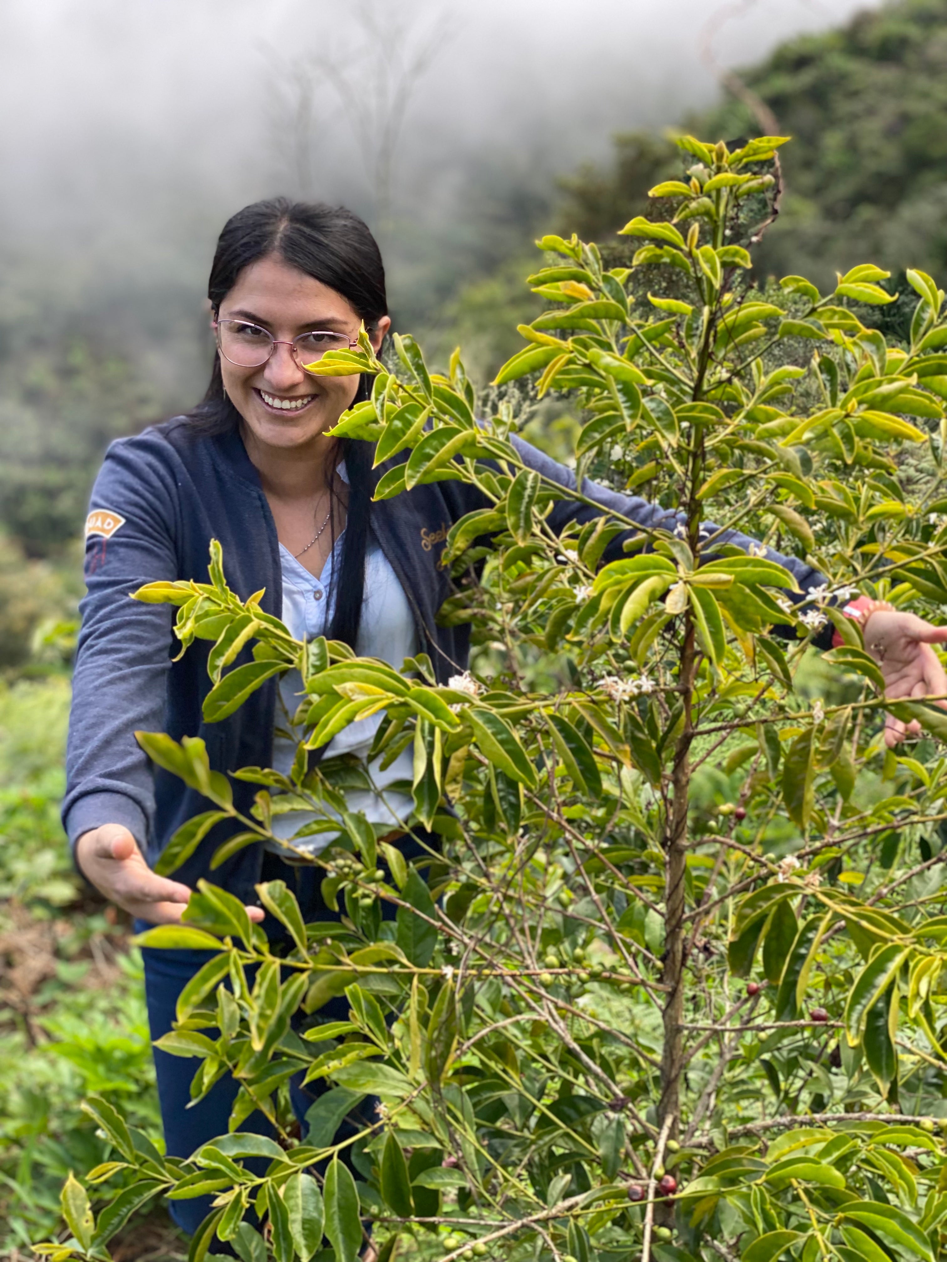 Francy Castillo - Colombia Geisha