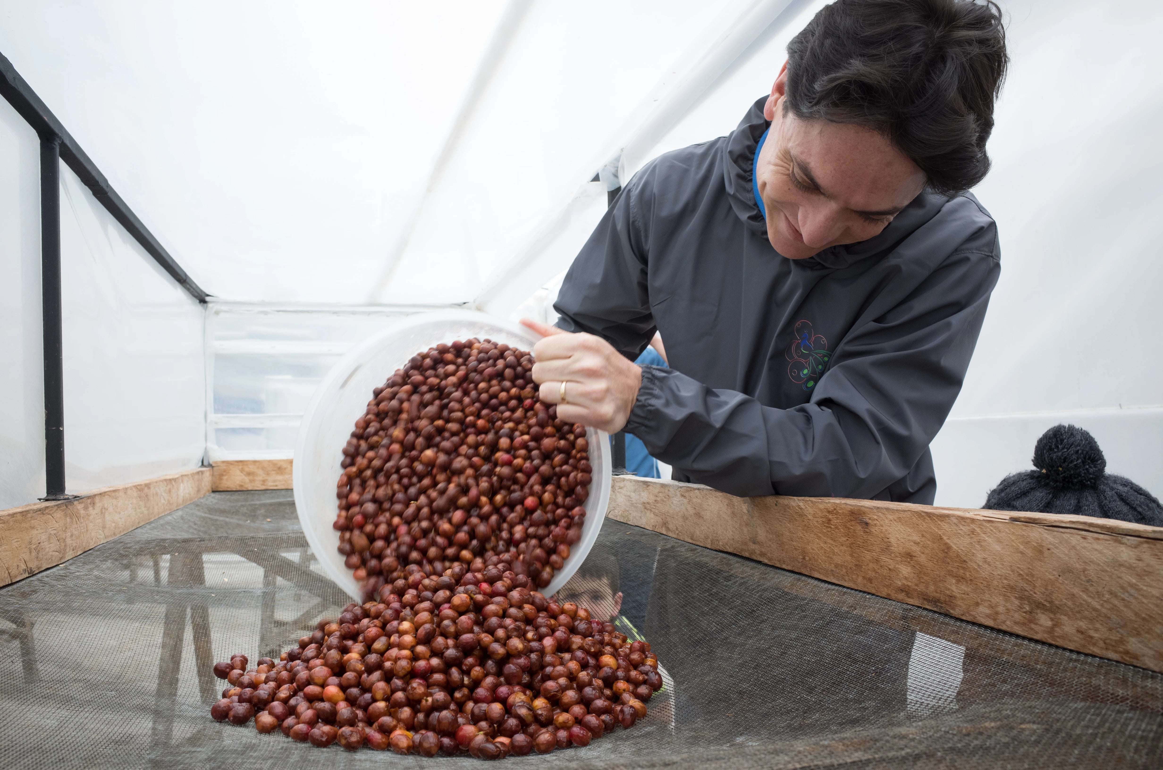 Juan Peña - Ecuador Reserve Sidra