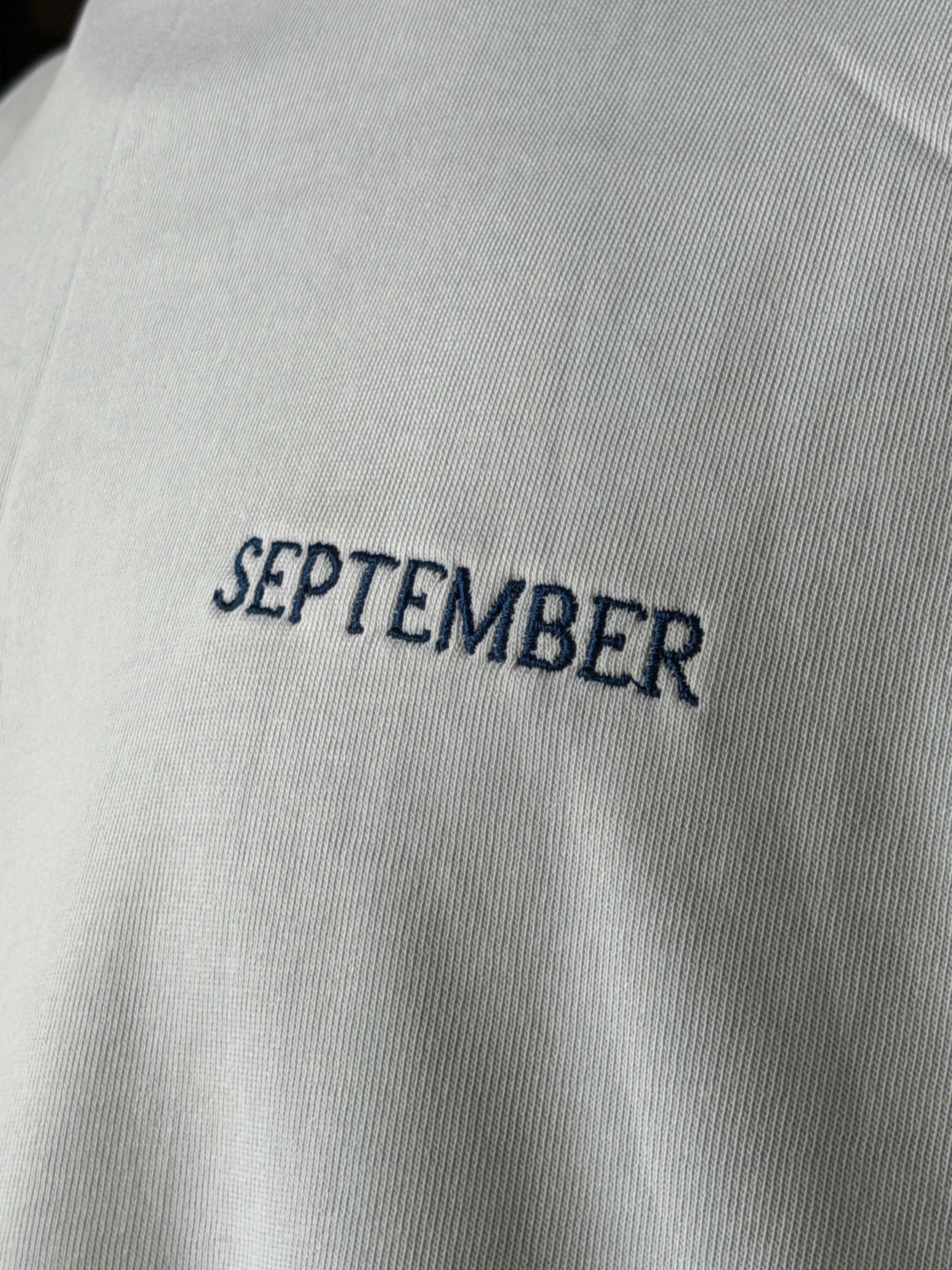 Embroidered Heavy Tee
