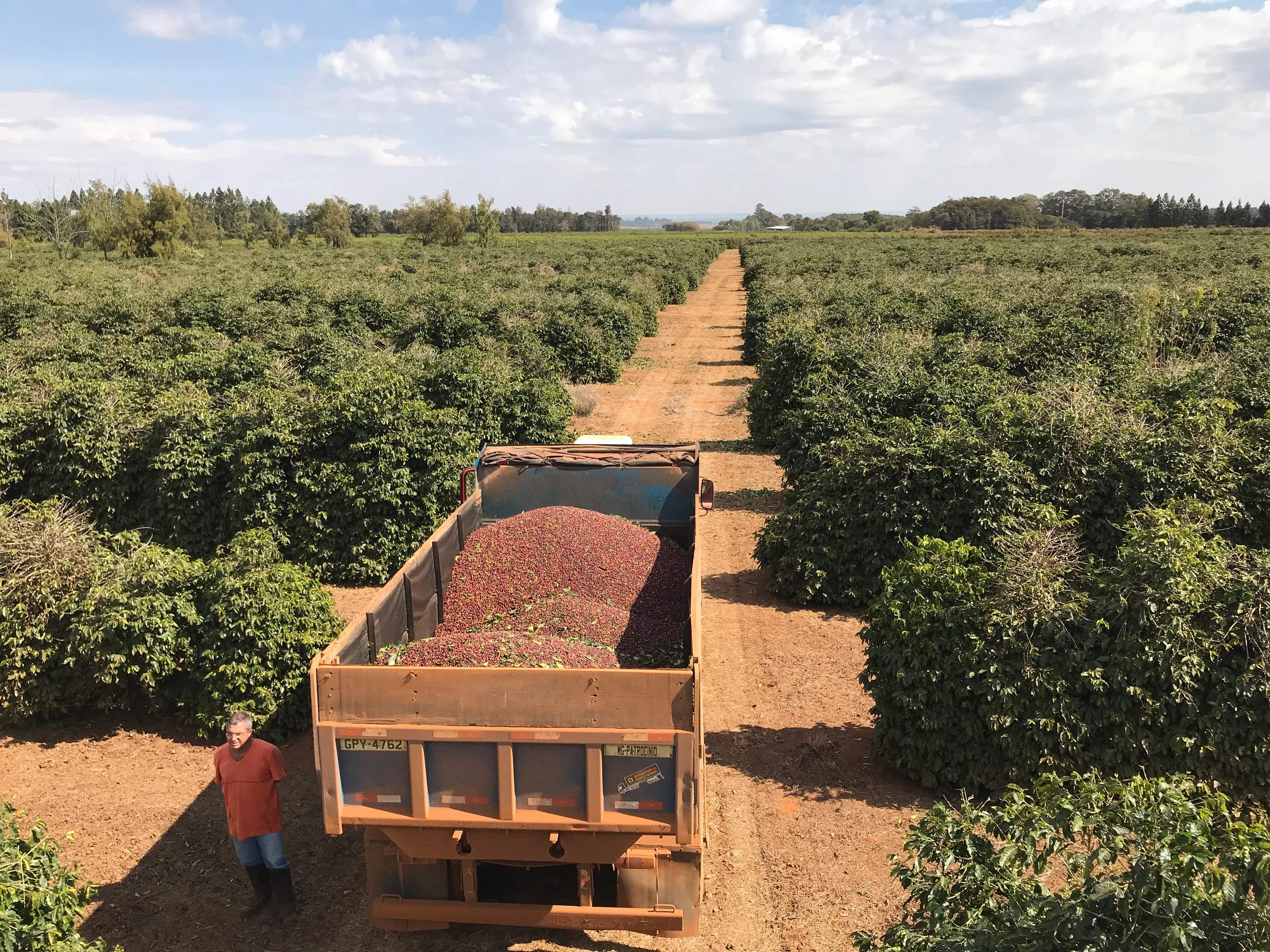Daterra Milk Espresso - Brazil