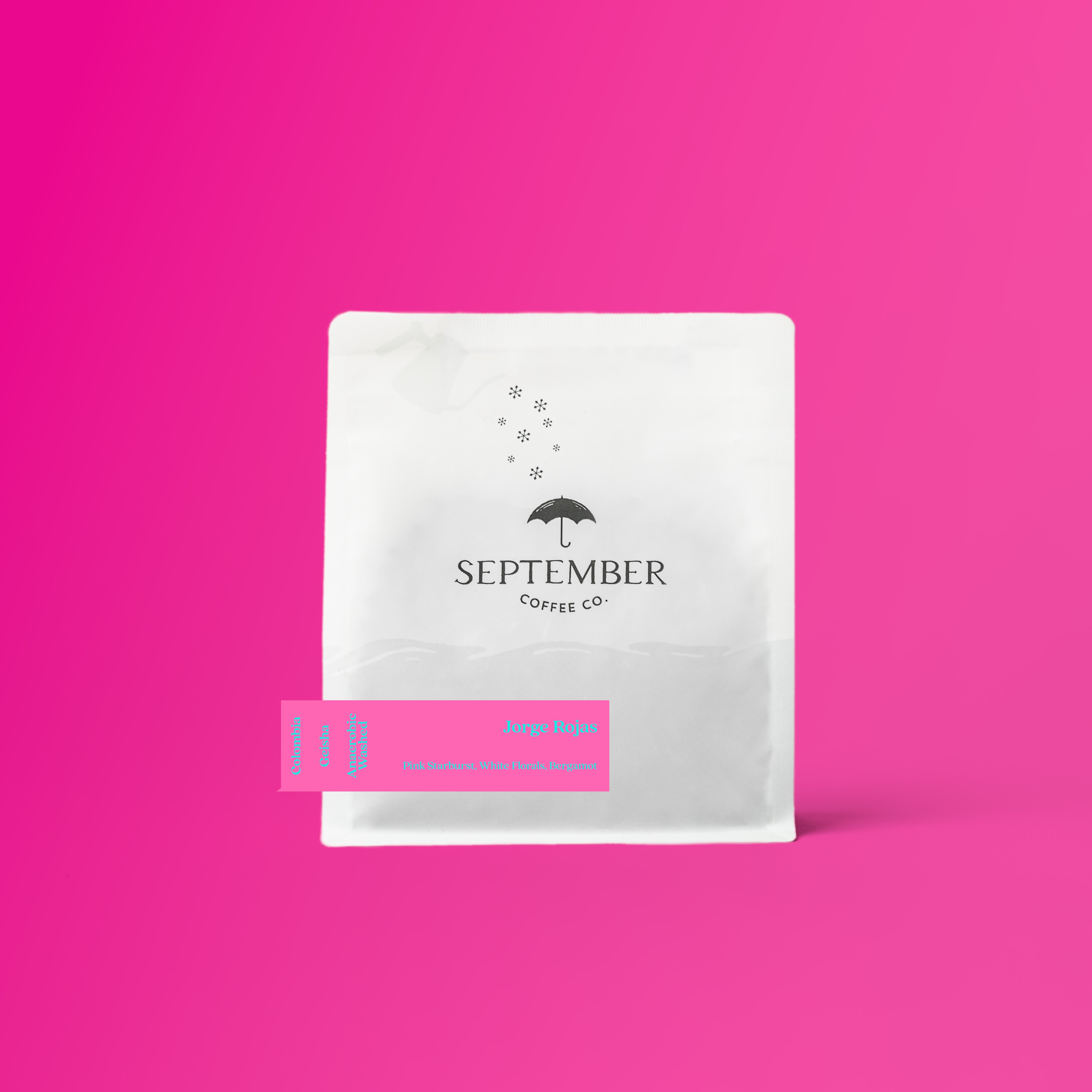 Jorge Rojas - Geisha