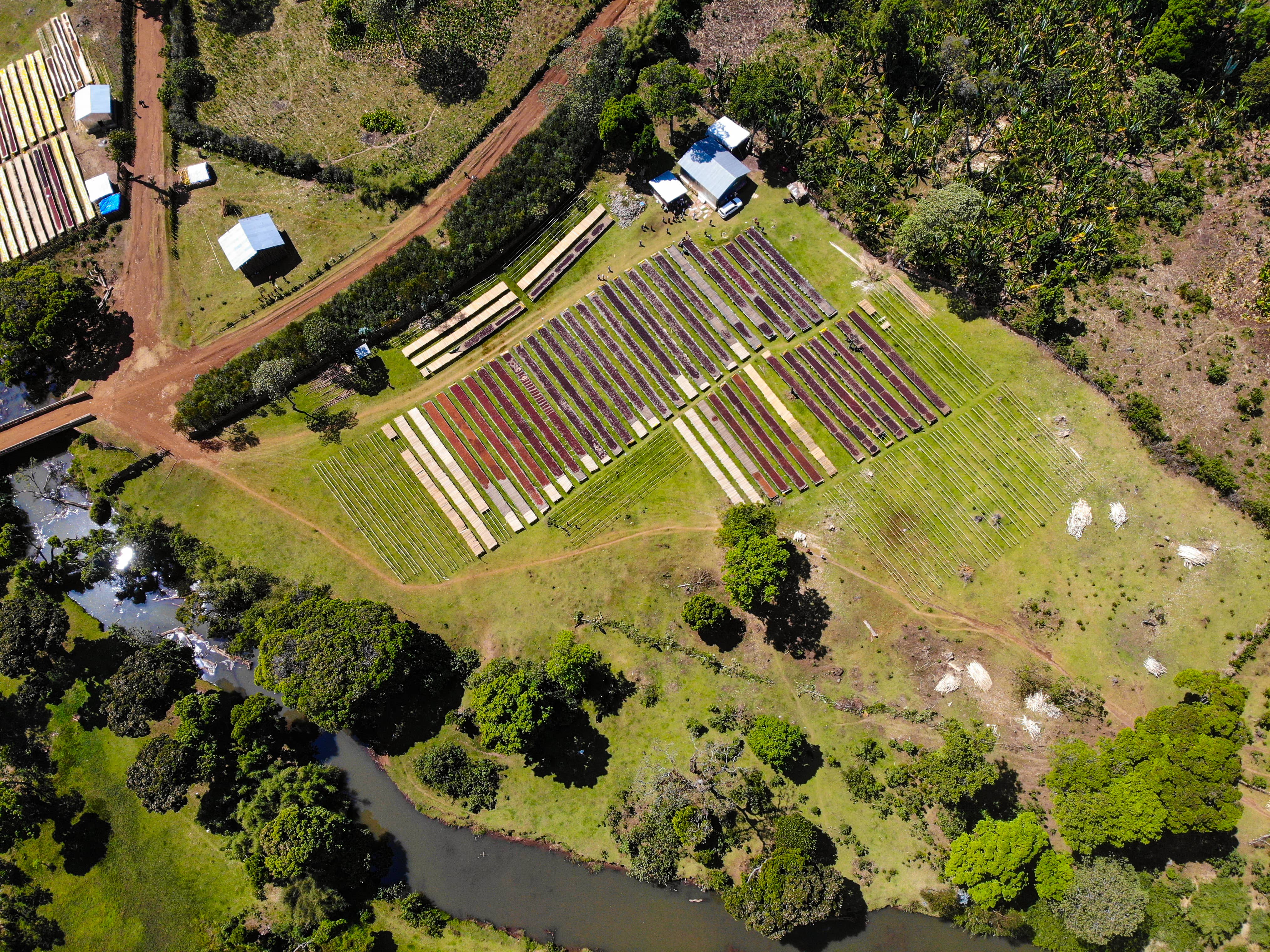 Keramo - Washed Landrace