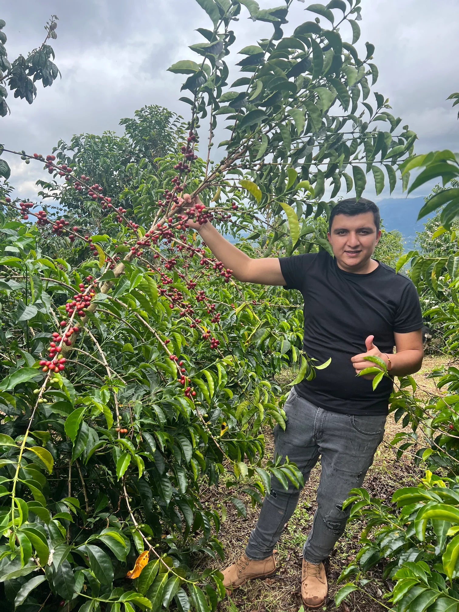 Nestor Lasso - Colombia Geisha