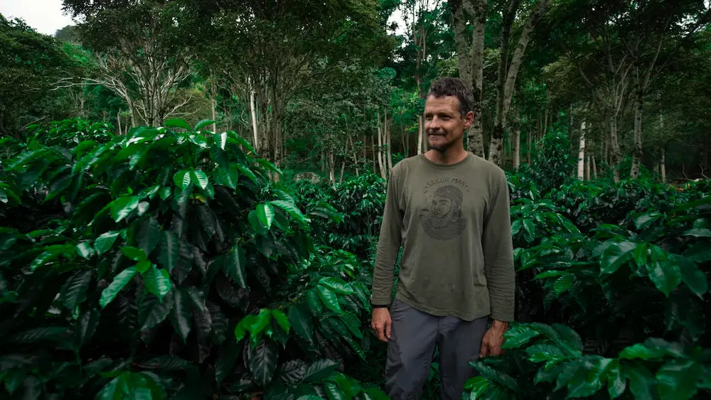 Pepe Jijon - Ecuador TyOxidator Typica Mejorada