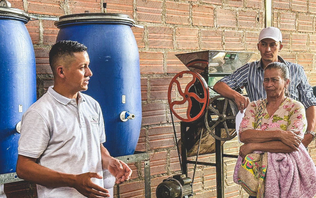 Jorge Rojas - Honey Typica