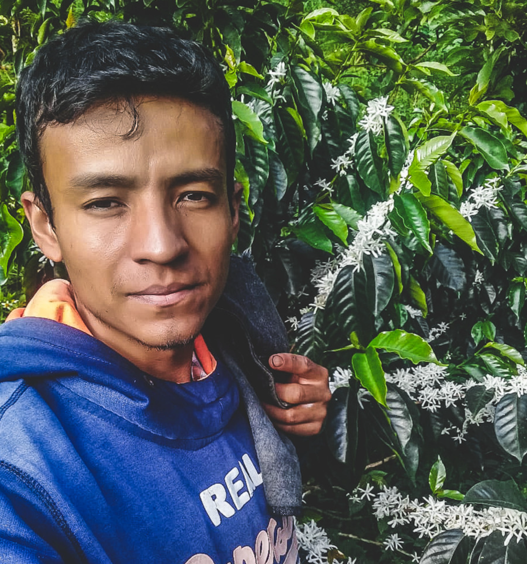 Erick Bravo  - Colombia Pink Bourbon
