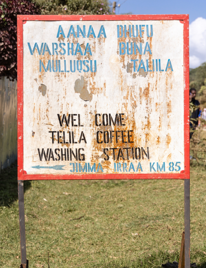 Genji Challa - Ethiopia (Extra-Light)