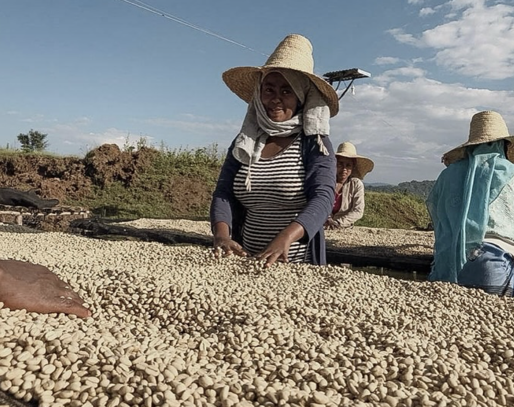 Genji Challa - Ethiopia (Extra-Light)
