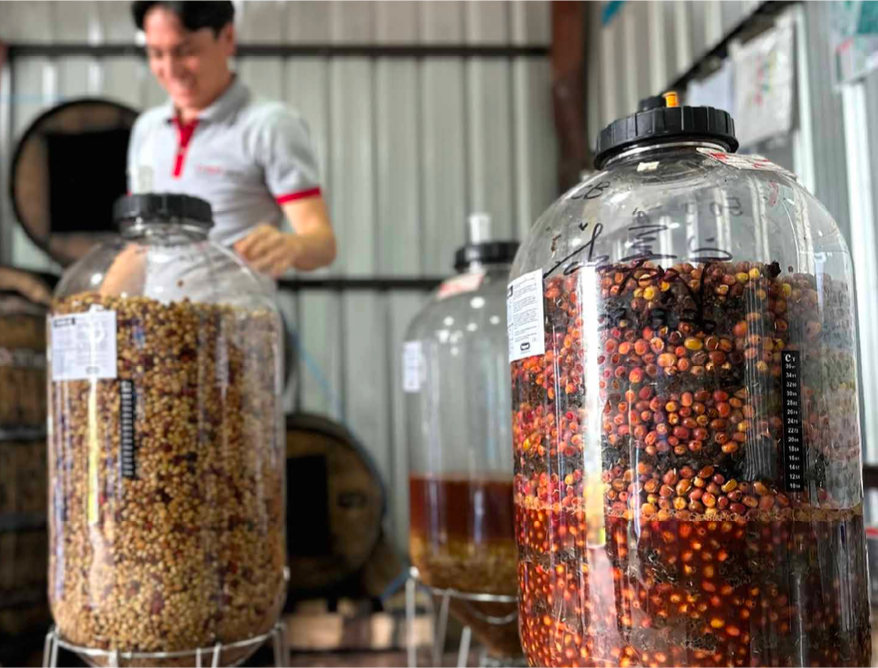 Juan Peña - Ecuador Yeast Inoculated Typica