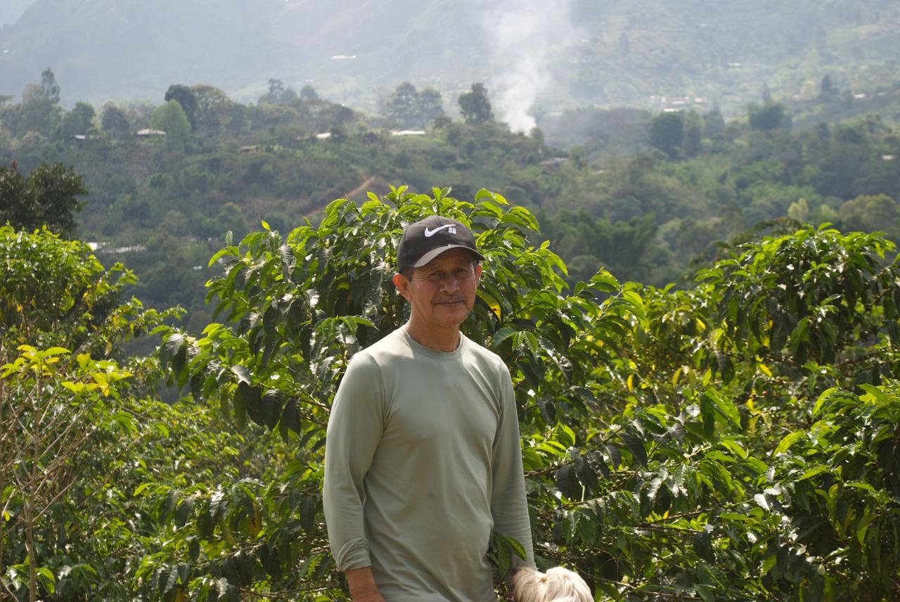 Neftalí Fajardo - Geisha