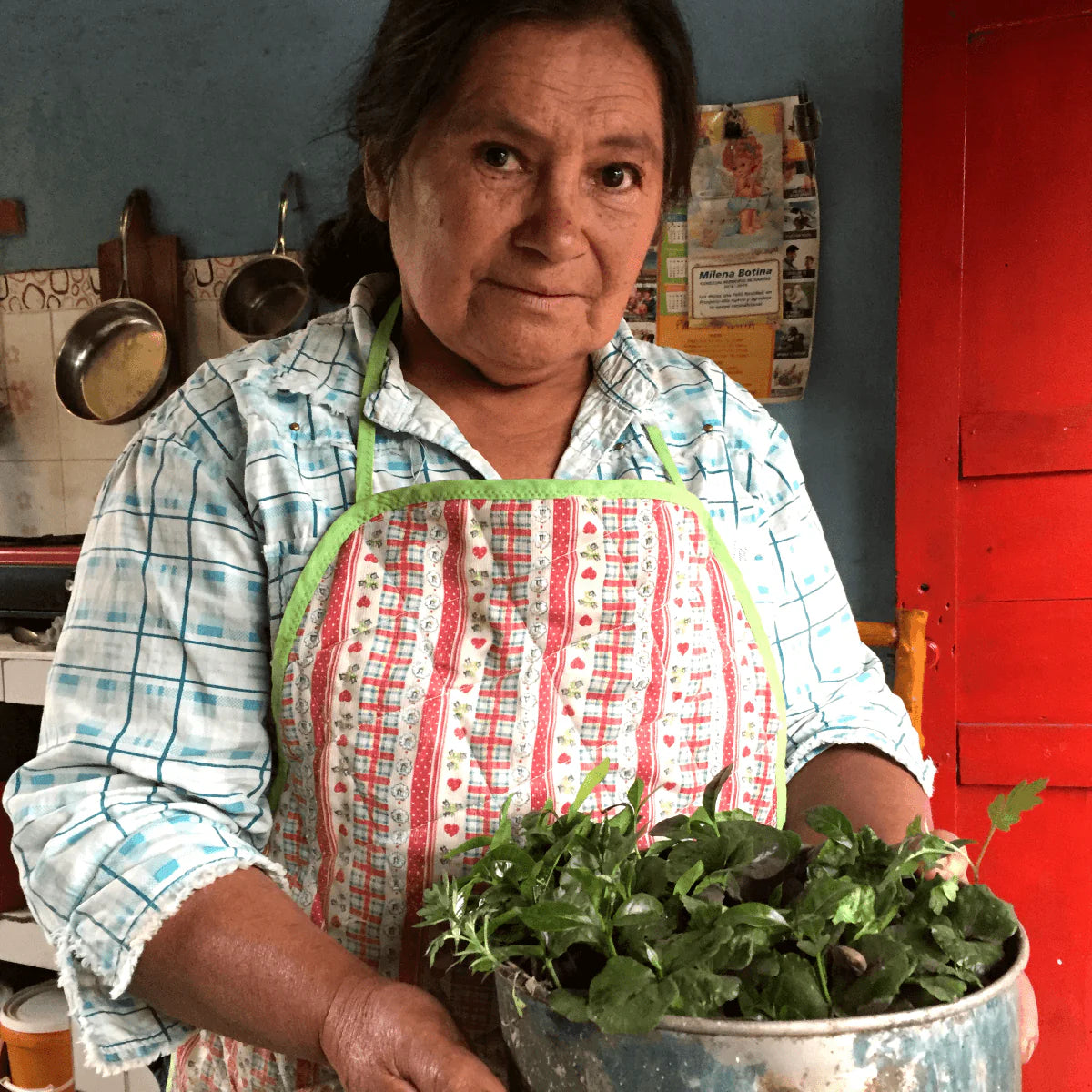 Amparo Botina - Colombia Caturra