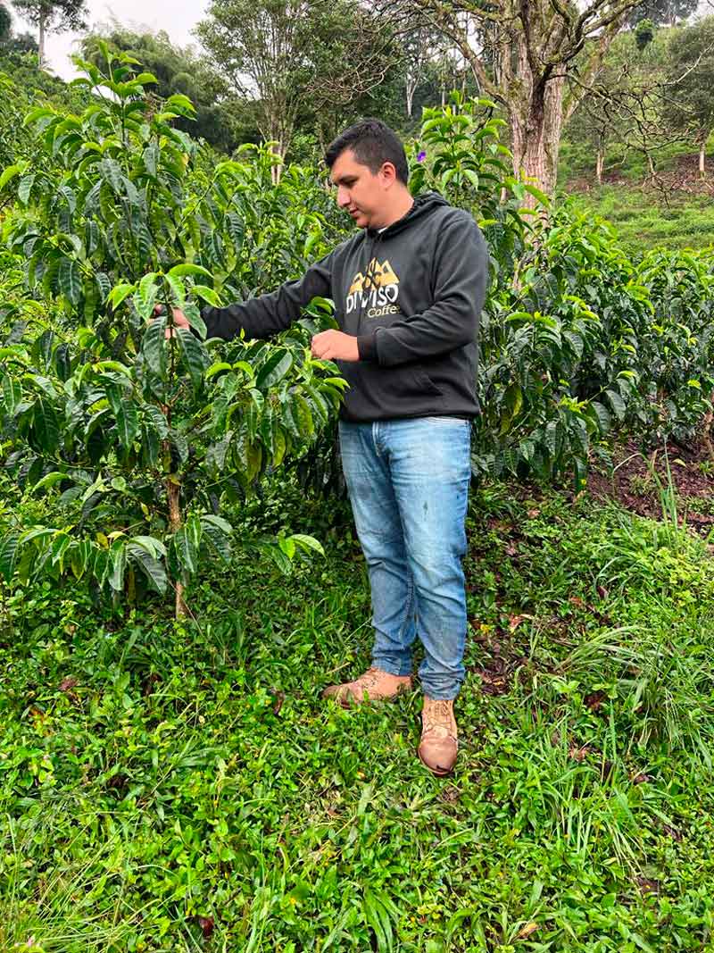 Nestor Lasso - Colombia Geisha