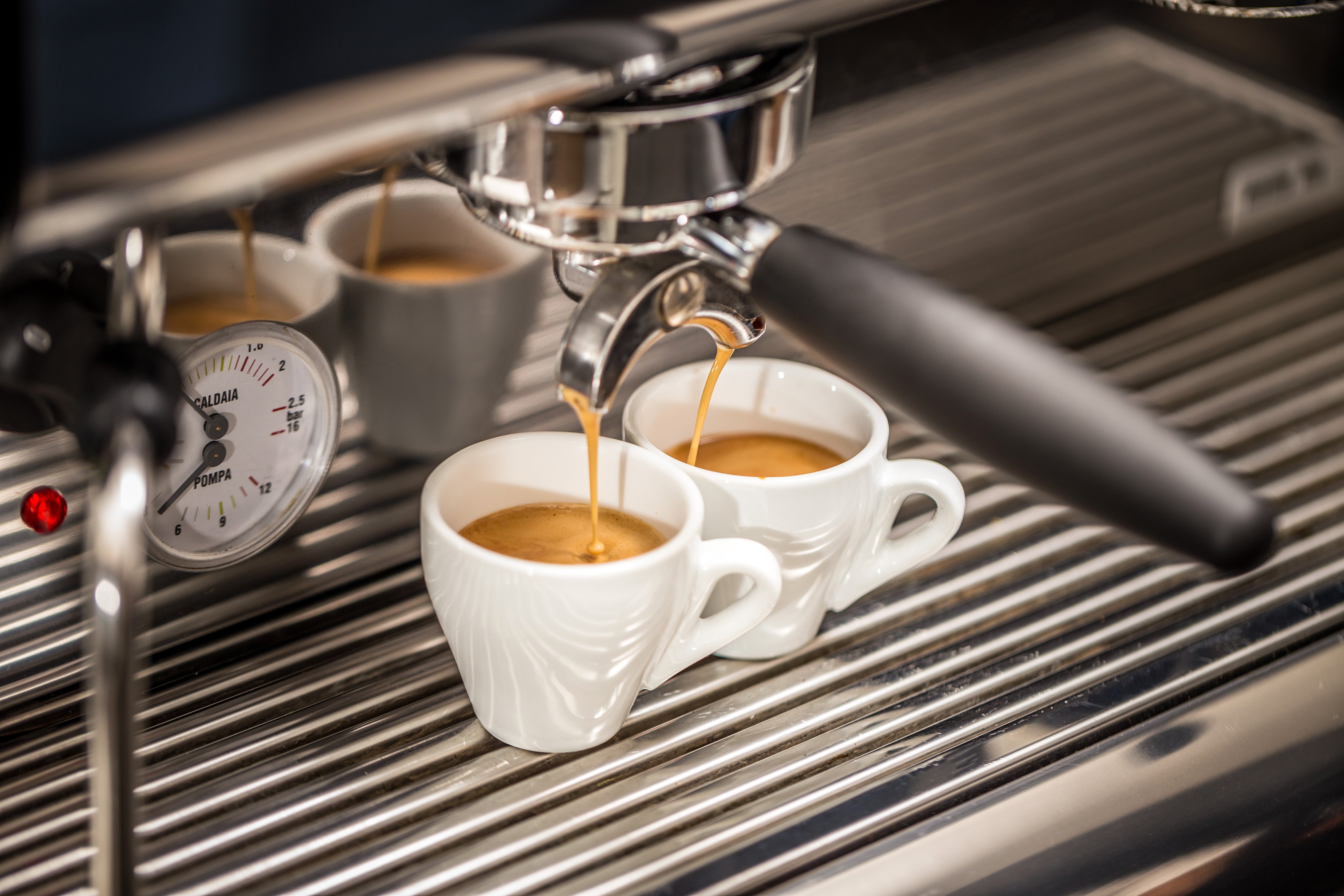 Daterra Milk Espresso - Brazil