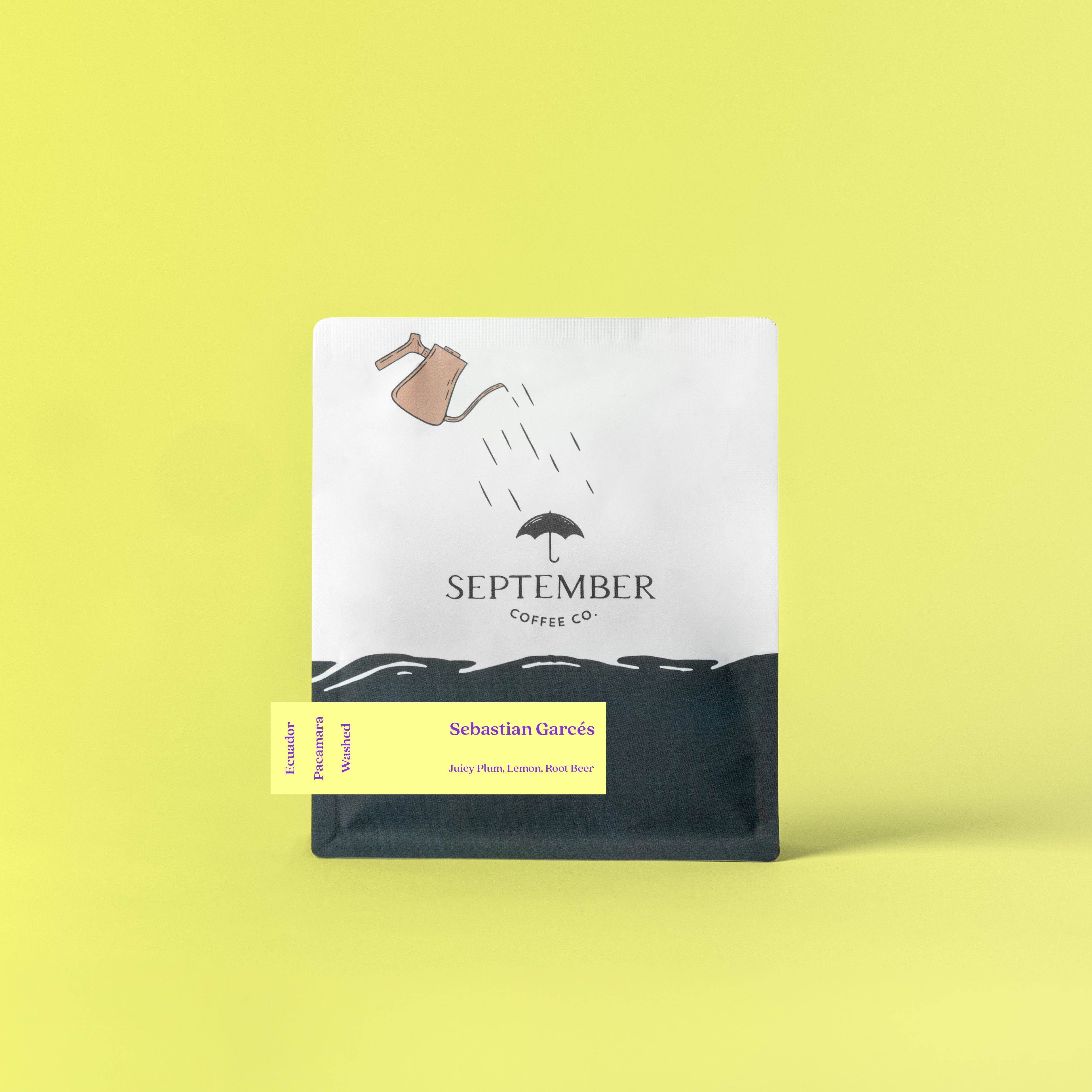 Sebastian Garcés - Ecuador Pacamara (2025)