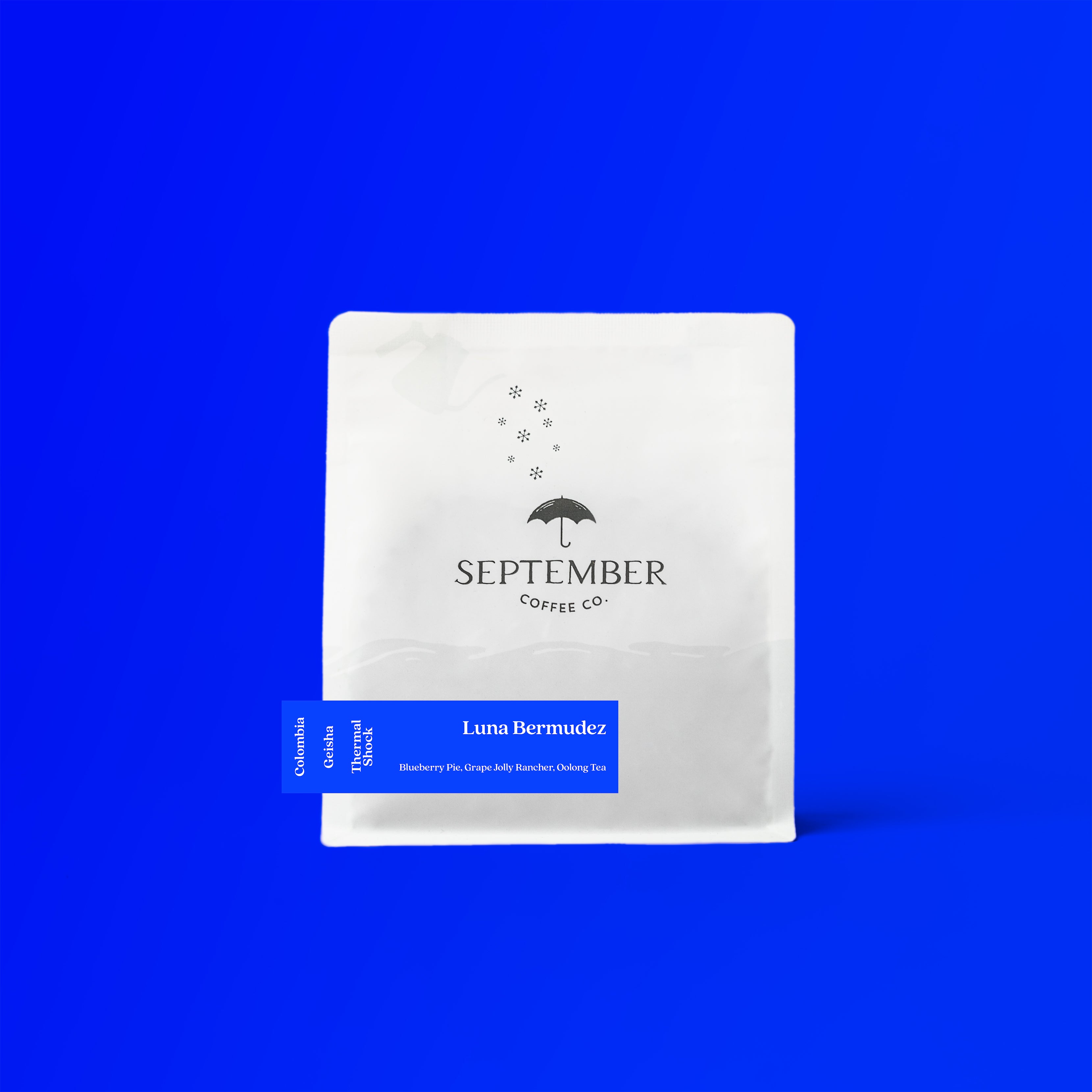 Luna Bermudez - Thermal Shock Geisha