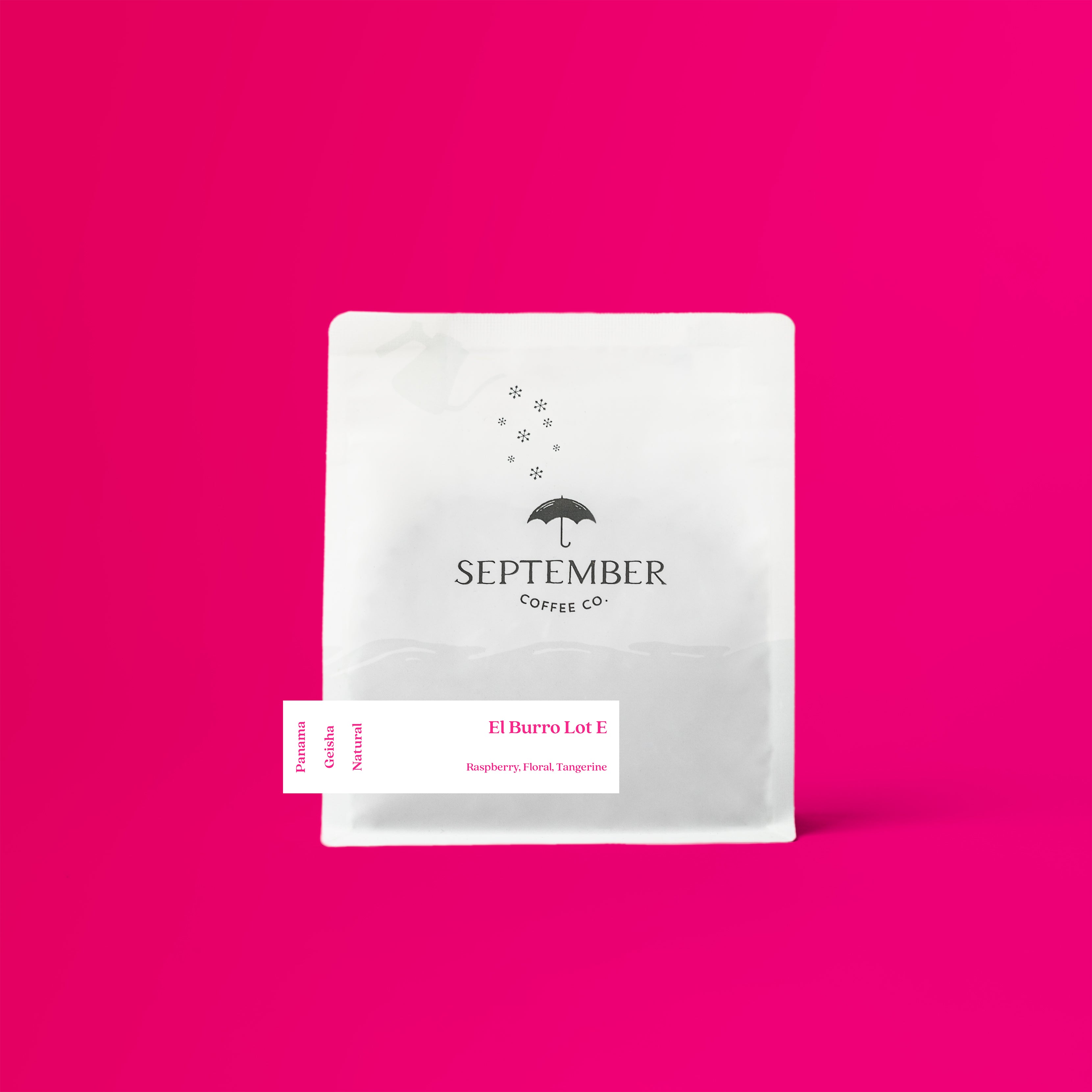 El Burro Lot E - Panama Natural Geisha