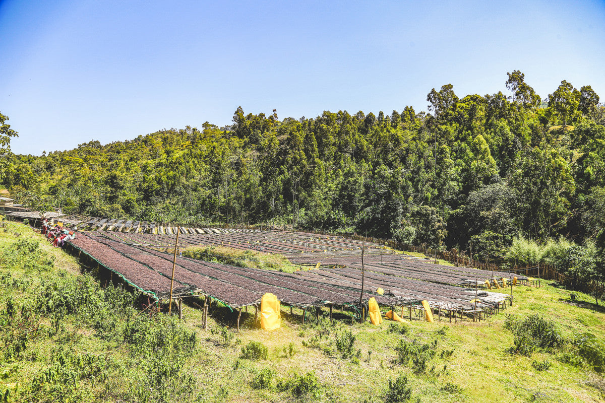 Keramo - Ethiopia