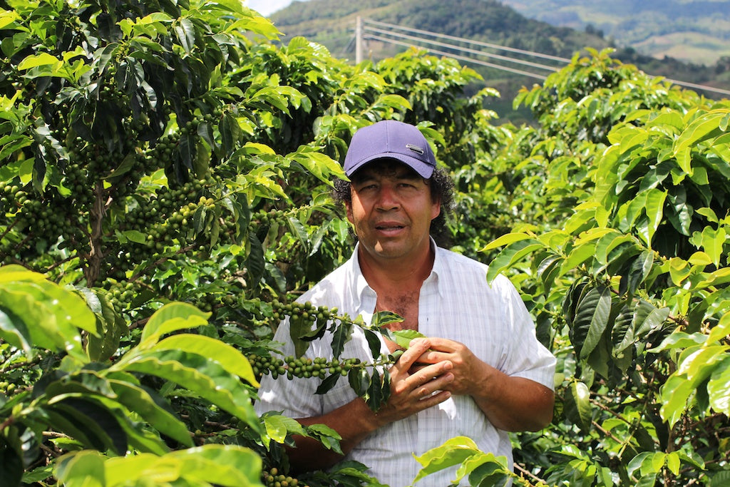 Finca Tamana - Elias Roa