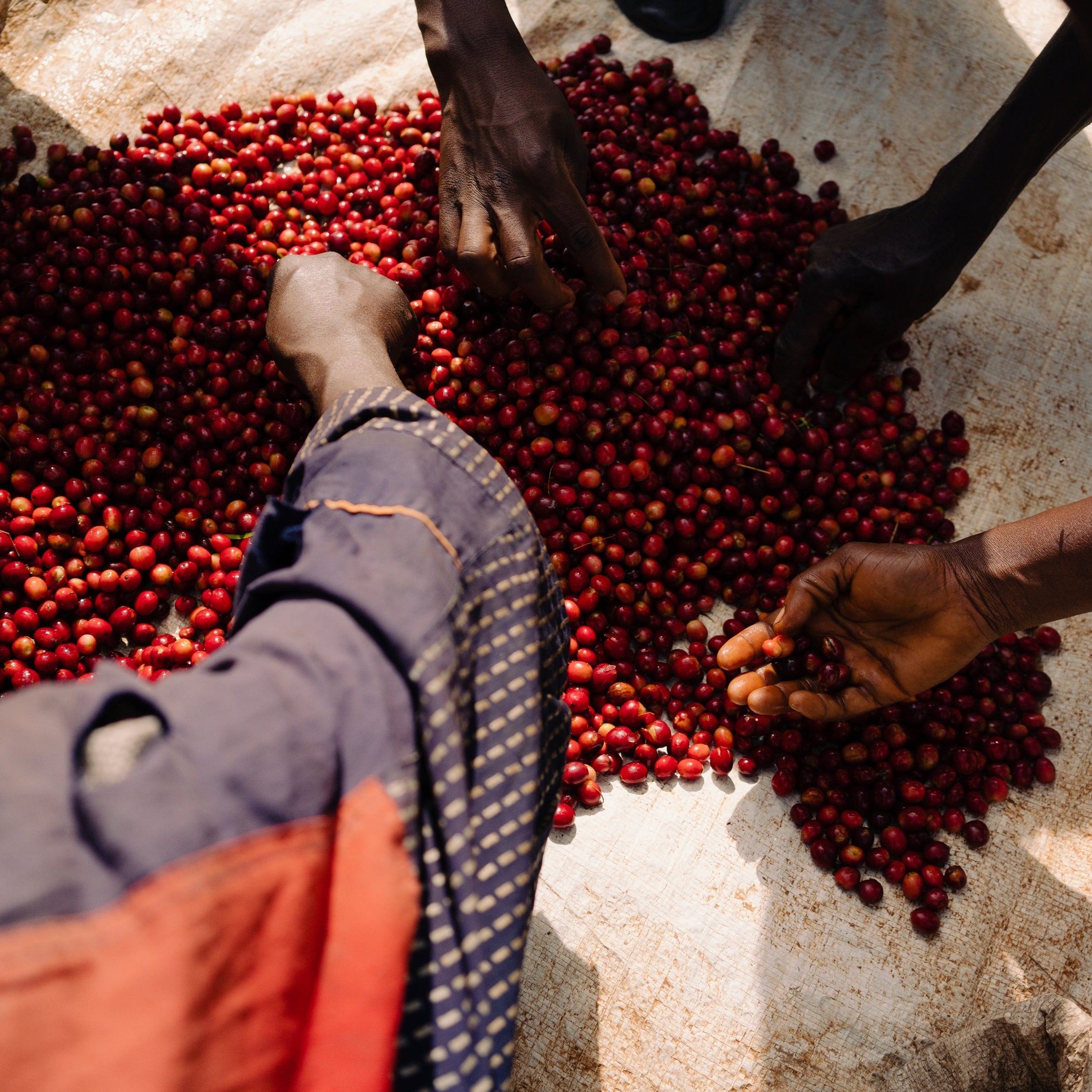 Bumba Hill - Burundi Honey Bourbon