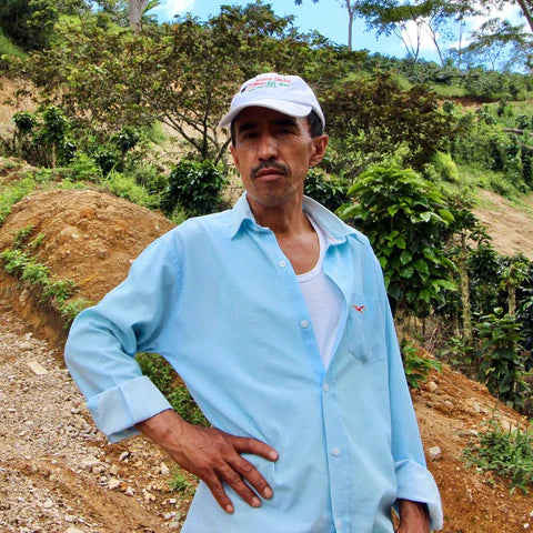 Jose Martinez - Caturra