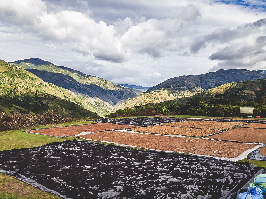 Las Perlitas Chiroso - Colombia