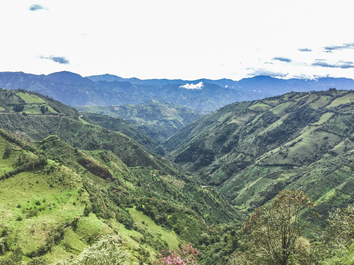 Las Perlitas Chiroso - Colombia