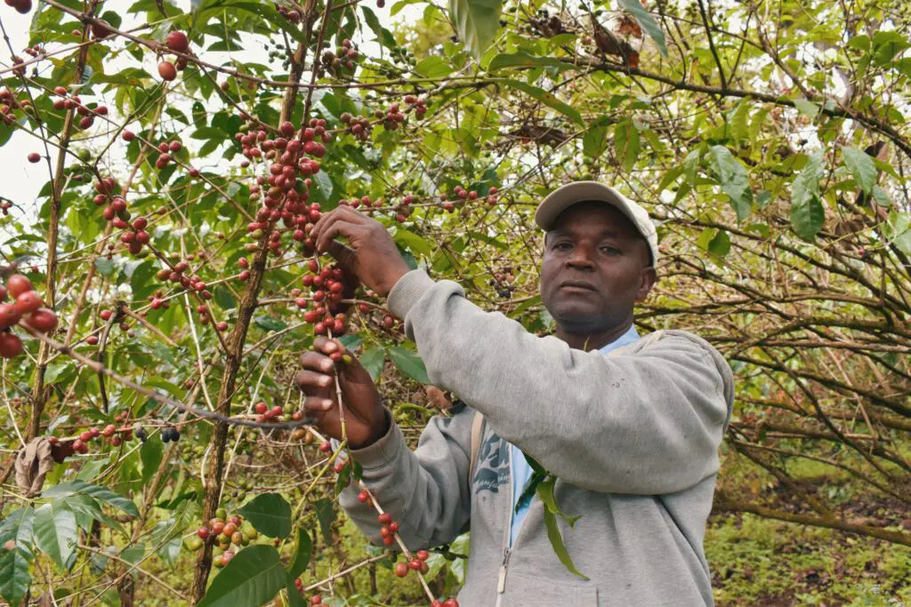 Bekele Kachara - Ethiopia