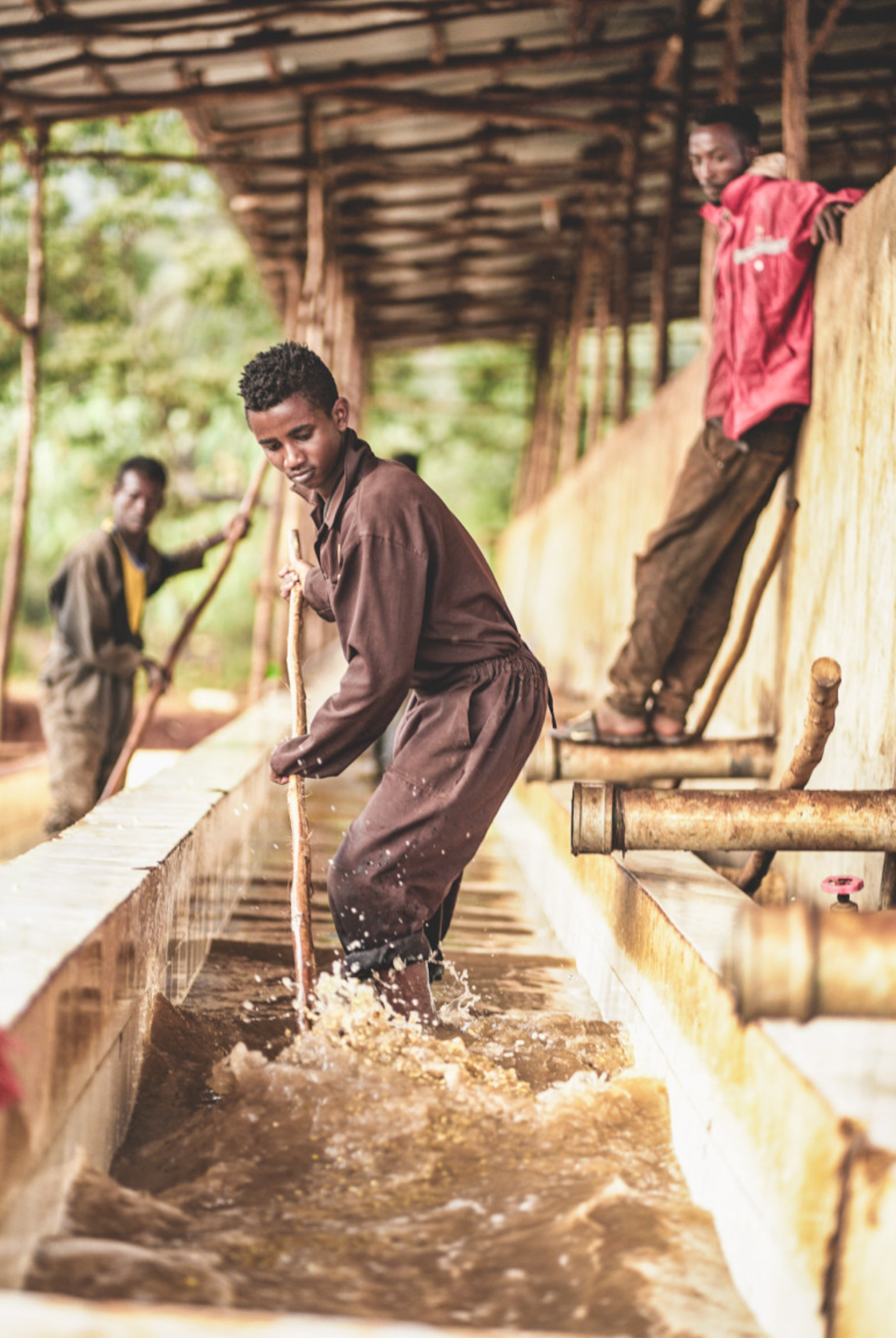 Chelbesa - Ethiopia