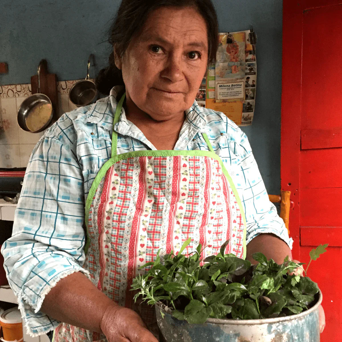Amparo Botina - Colombia Washed Caturra (2026)