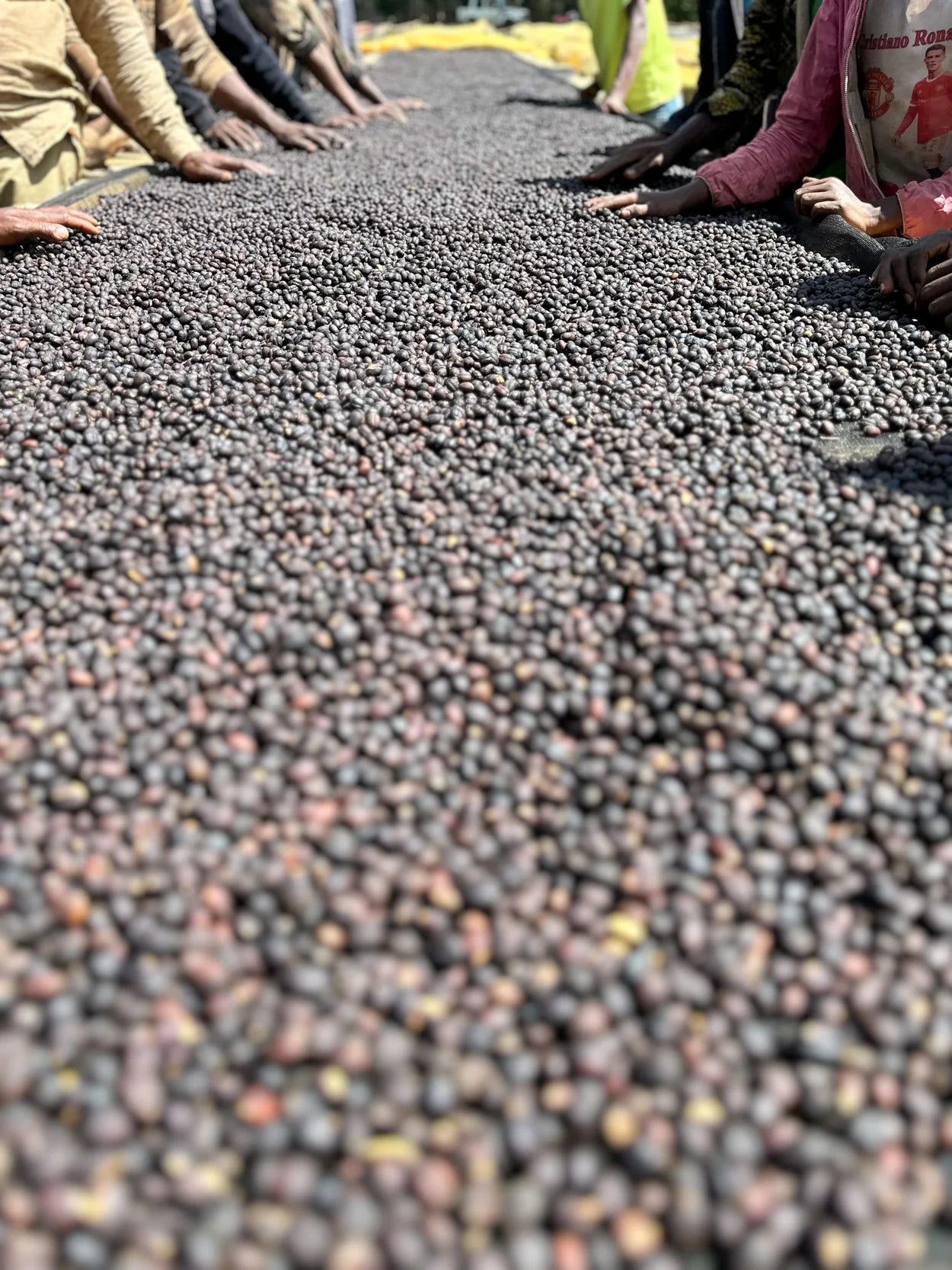 Nguisse Nare - Natural JARC 74158 (Extra-Light)