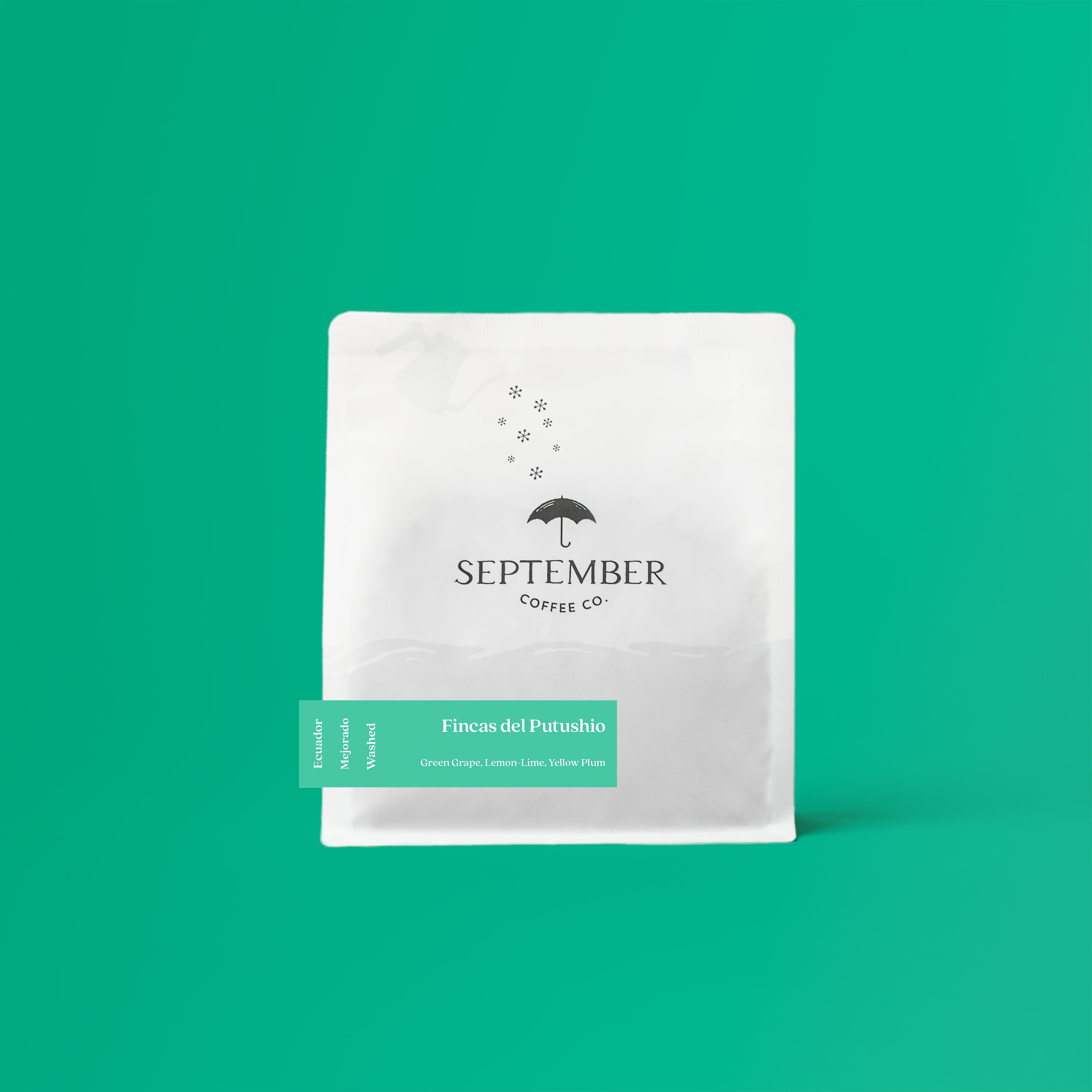 Fincas Del Putushio - Washed Mejorado (2026)