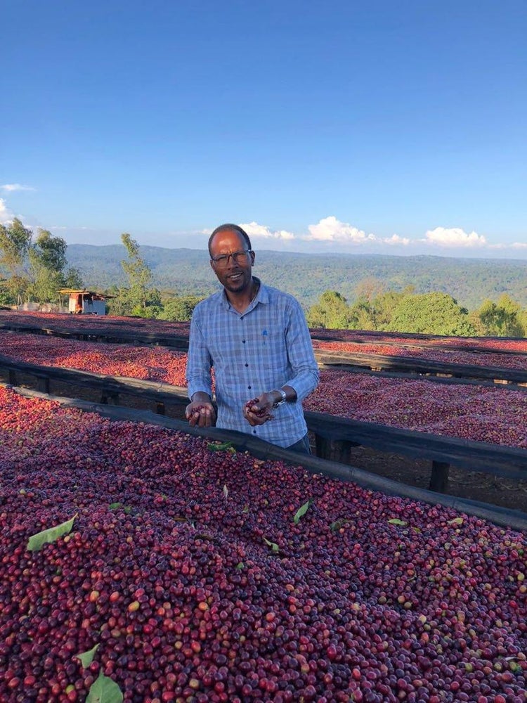 Tagel Alemayehu - Ethiopia