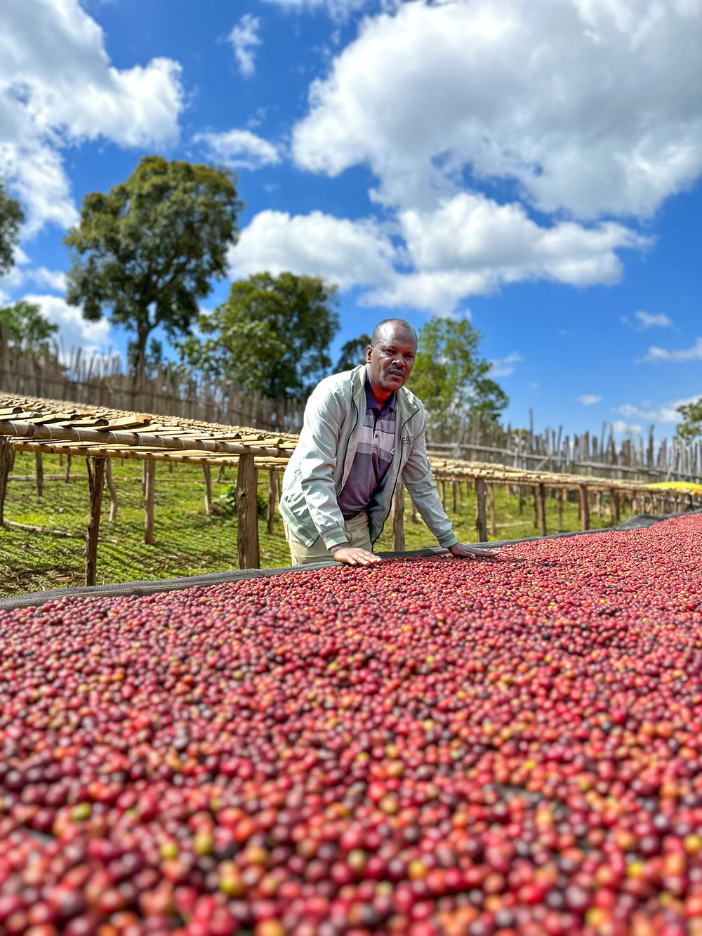 Bekele Yutute - Natural JARC 74158